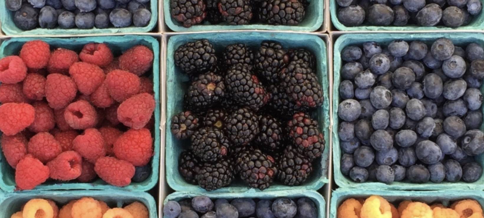 Photo of berries in their containers
