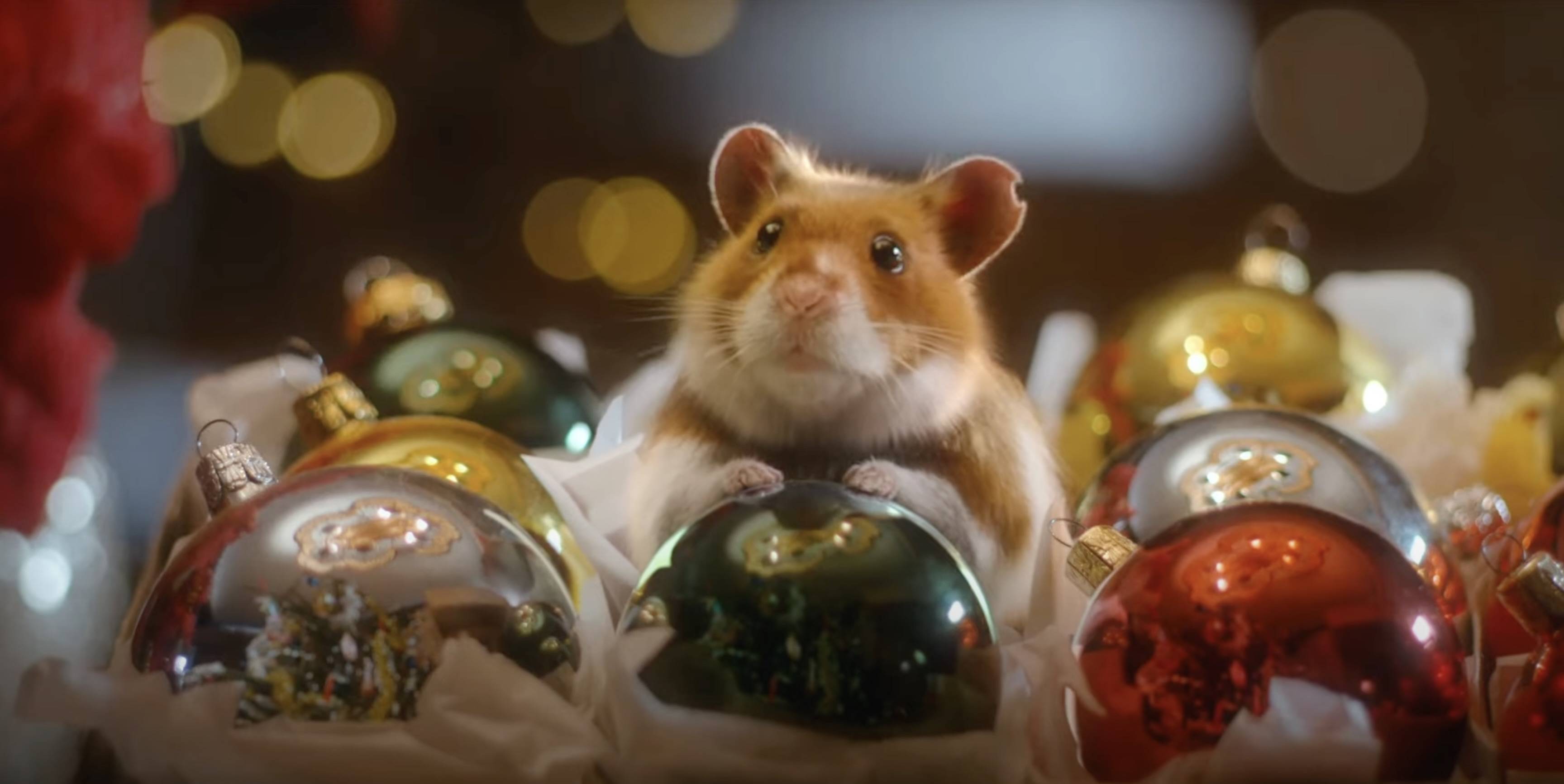 A hamster sitting in a box of ornaments